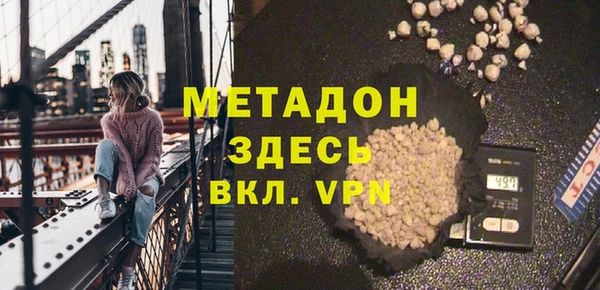 индика Арсеньев