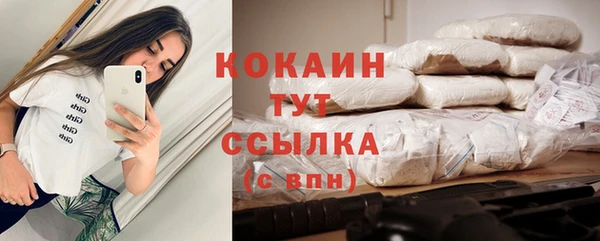 крисы Аркадак