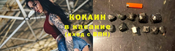 индика Арсеньев