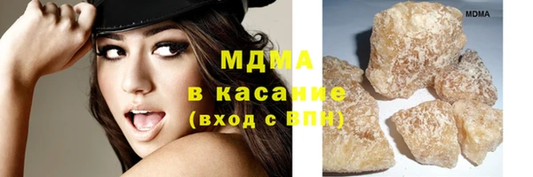 индика Арсеньев