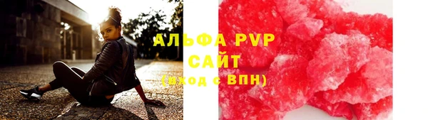 индика Арсеньев