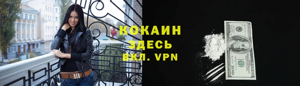 крисы Аркадак