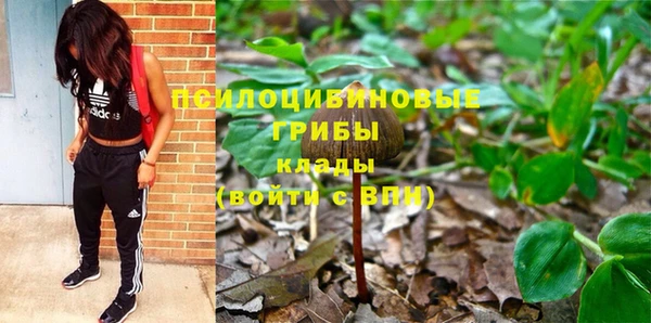 индика Арсеньев