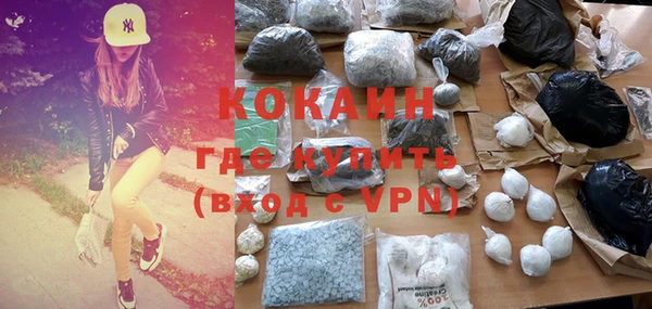 индика Арсеньев