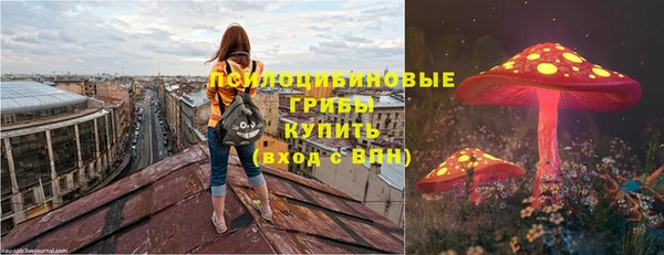 крисы Аркадак