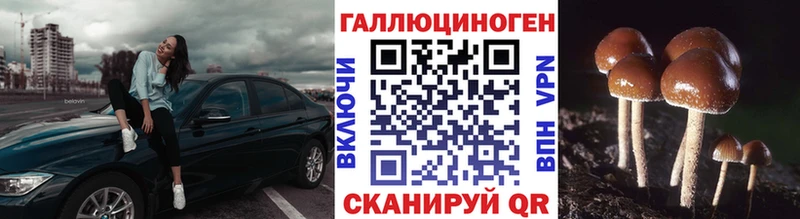 Псилоцибиновые грибы прущие грибы Спасск-Рязанский